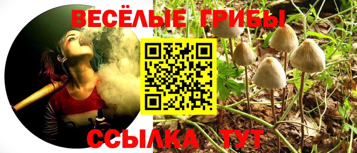 Псилоцибиновые грибы GOLDEN TEACHER  Галлюциногенные грибы GOLDEN TEACHER  Люберцы  Вход с VPN 