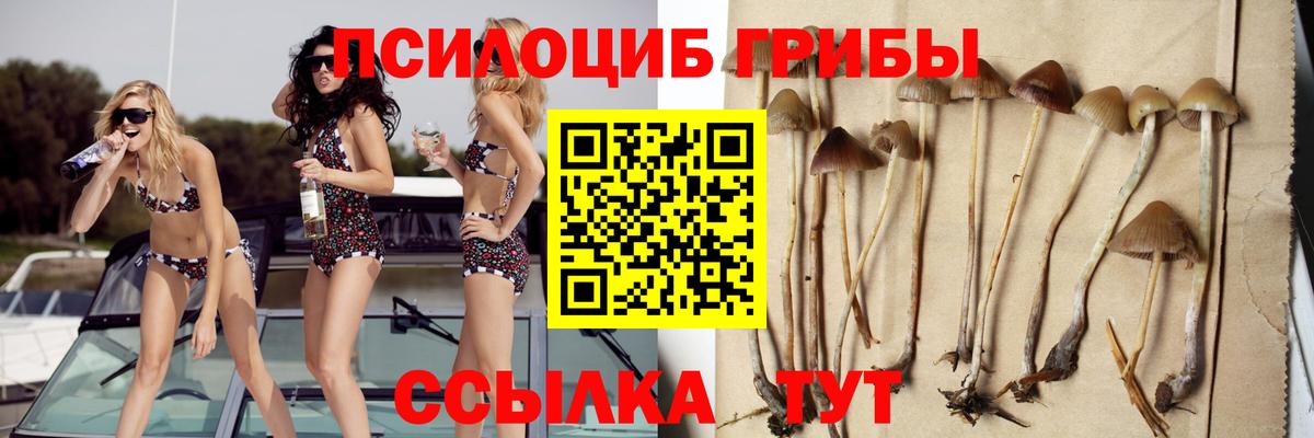 Галлюциногенные грибы Cubensis Люберцы