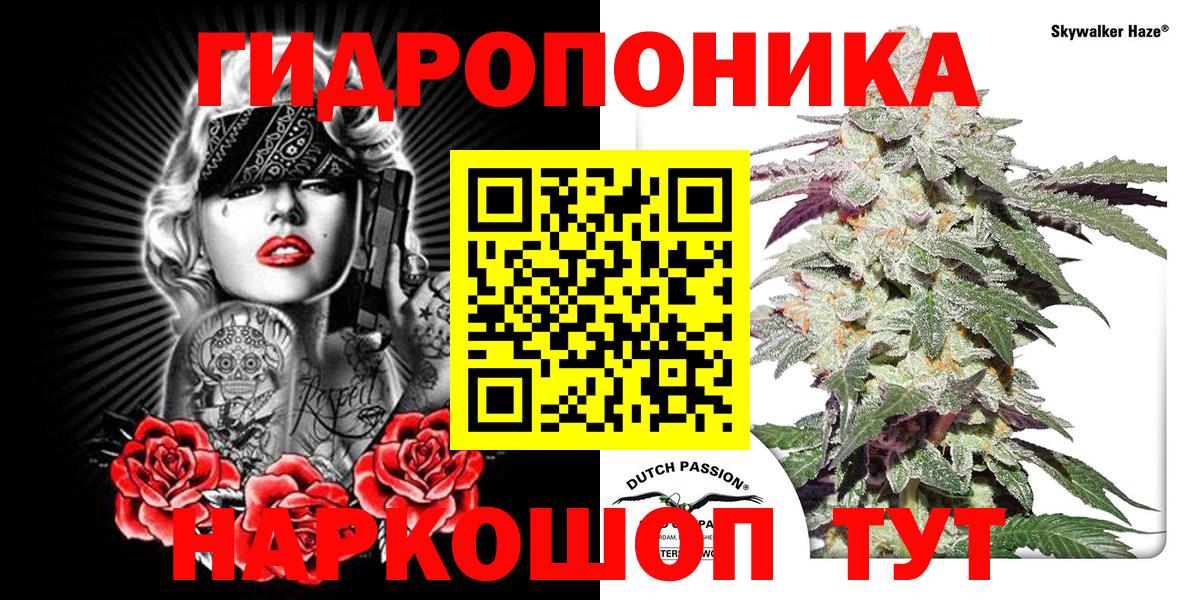 Марихуана OG Kush  Бошки Шишки THC 21%  Вход с VPN  Люберцы 